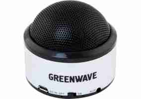 Портативная акустика Greenwave PS-300M silver-black