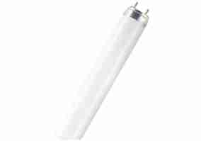 Лампа Osram LUMILUX T8 36W Fluora G13