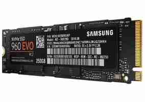 SSD накопитель Samsung 960 EVO M.2 MZ-V6E250BW