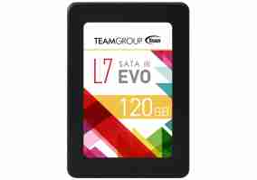 SSD накопитель Team Group L7 EVO T253060GTC101