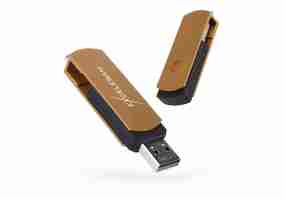 USB флеш накопитель Exceleram 16 GB P2 Black/Brown (EXP2U2BRB16)