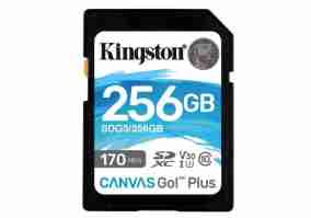 Карта памяти Kingston 256 GB SDXC class 10 UHS-I U3 Canvas Go! Plus (SDG3/256GB)
