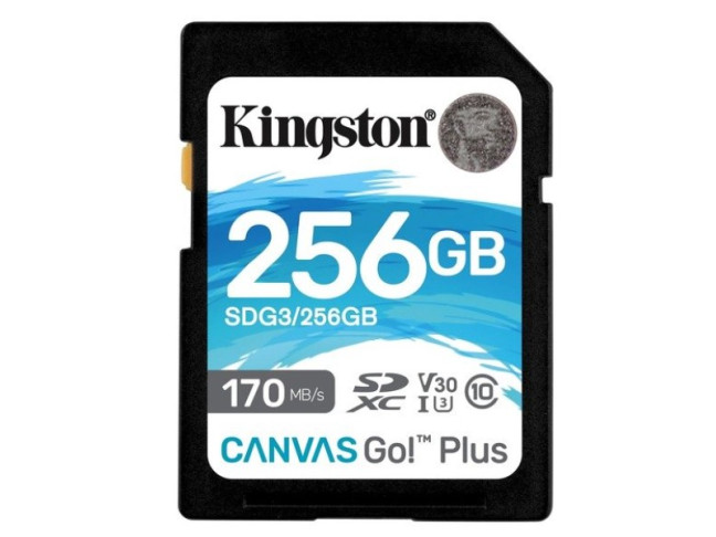 Карта пам'яті Kingston 256 GB SDXC class 10 UHS-I U3 Canvas Go! Plus (SDG3/256GB)