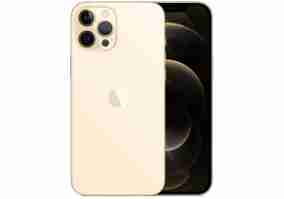 Смартфон Apple iPhone 12 Pro 256GB Dual Sim Gold (MGLG3)