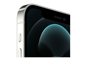 Смартфон Apple iPhone 12 Pro Max 256GB Silver (MGDD3)