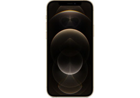 Смартфон Apple iPhone 12 Pro Max 512GB Gold (MGDK3)