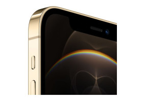 Смартфон Apple iPhone 12 Pro Max 512GB Gold (MGDK3)