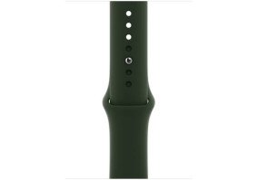 Смарт-часы Apple Watch Series 6 GPS + Cellular 40mm Gold Stainless Steel Case with Cyprus Green Sport Band (M02W3, M06V3)