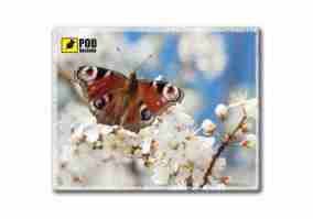 Килимок для миші Pod myshku Весна-метелик (U0063024)