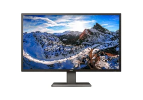 Монітор Philips 439P1/00