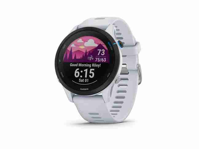 Смарт-годинник Garmin Forerunner 255 Music Whitestone (010-02641-21/31)