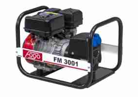 Бензиновий генератор Fogo FM 3001