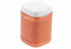 Портативна акустика WK SP390 Fuly Orange (6970349286547)