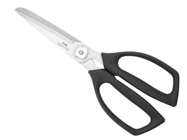 Ножиці KAI Select 100 (DH-6002)