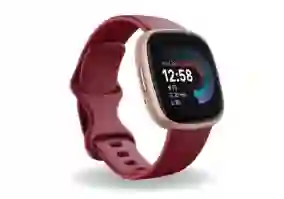 Смарт-часы Fitbit Versa 4 Beet Juice/Copper Rose (FB523RGRD)