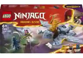 Конструктор Lego Ninjago Молодой дракон Рию (71810)