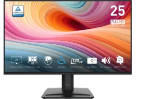 Монитор MSI Pro MP251 E2 (9S6-3PD2CM-011)