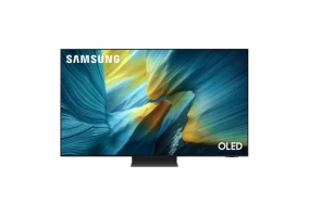 Телевізор Samsung QE55S95FAUXUA