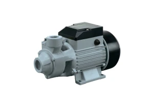 Поверхностный насос Rudes QB 60В (4820224010694)