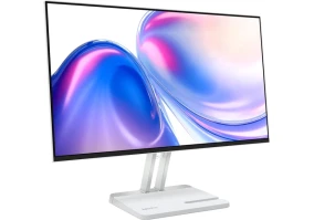 Монитор Lenovo L24-4C (67DDKAC6UA)