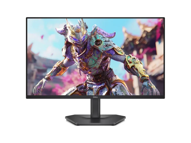 Монитор Dell SE2426HG (210-BTTF)