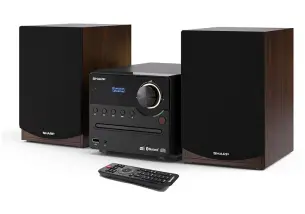 Микросистема Sharp XL-B517D Brown